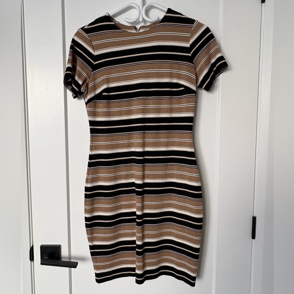 Striped Black and Brown Women's Dress